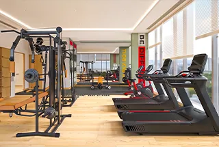 Gymnasium