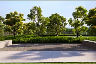 Zen Garden